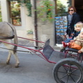 2008 10-Donkey Cart Yvoire France